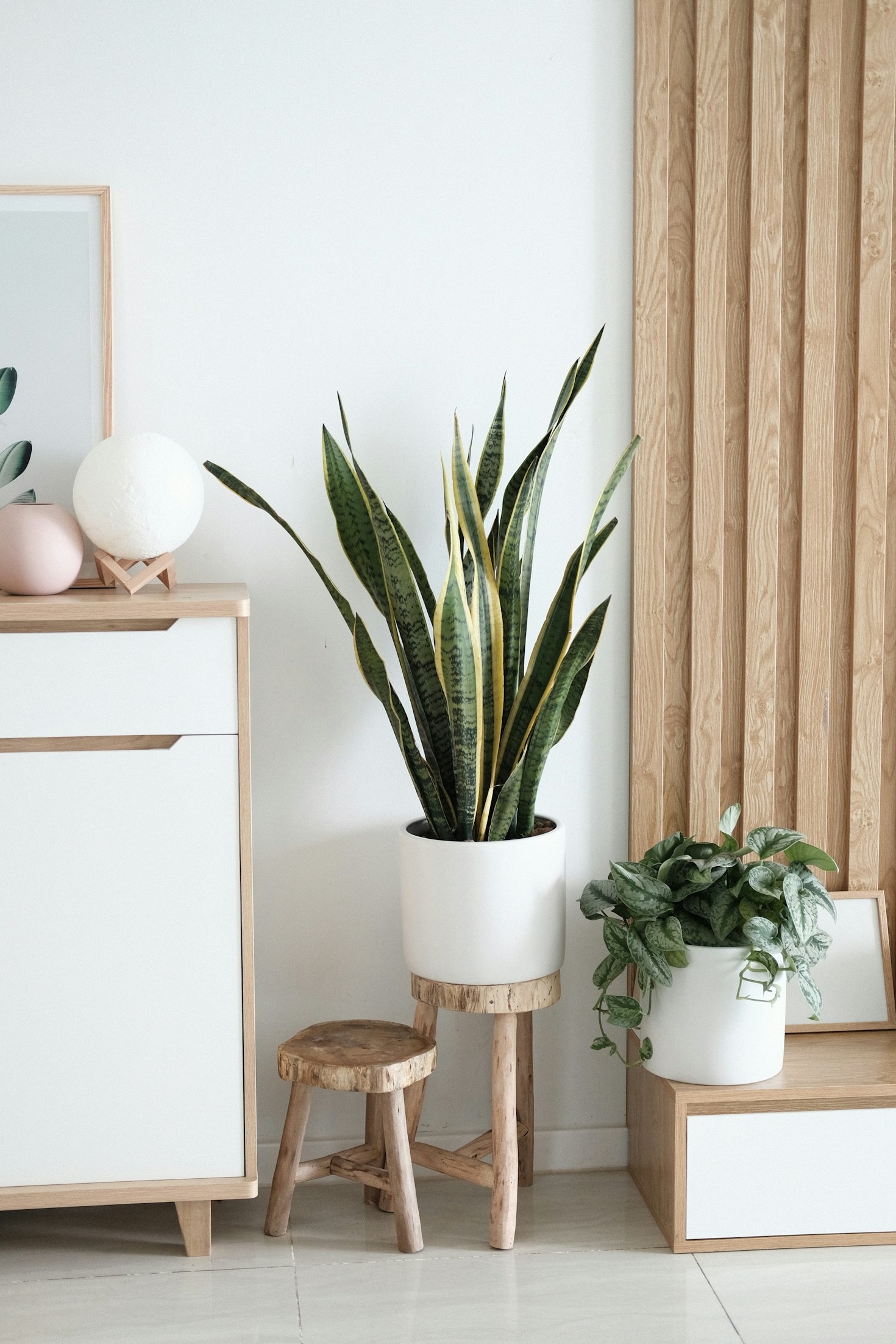 The Ultimate Guide to Home Styling